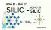 Tính chất hoá học của Silic dioxit, axit Silixic, muối Silicat và bài tập về Silic - hoá 11 bài 17
